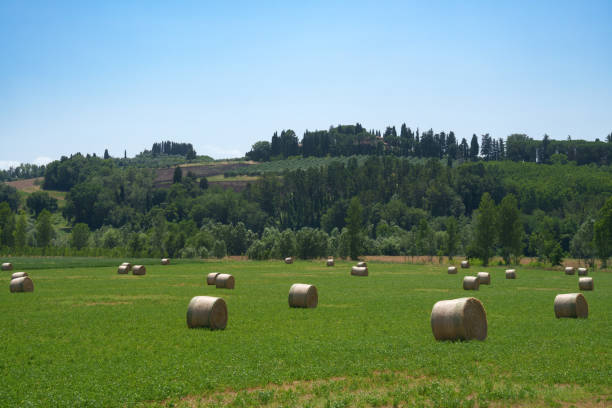 Campi e balle di fieno nella campagna vicino a Ponsacco