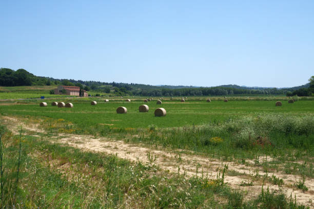 Casale immerso nei campi vicino a Ponsacco