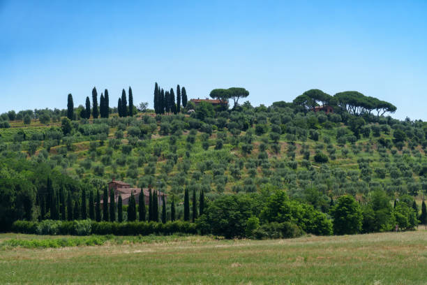 Campagna della Valdera nei dintorni di Ponsacco